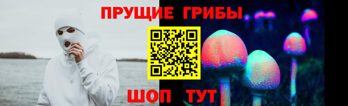 Галлюциногенные грибы Psilocybine cubensis  Псилоцибиновые грибы ЛСД  купить наркоту  Вход с VPN  Саранск 
